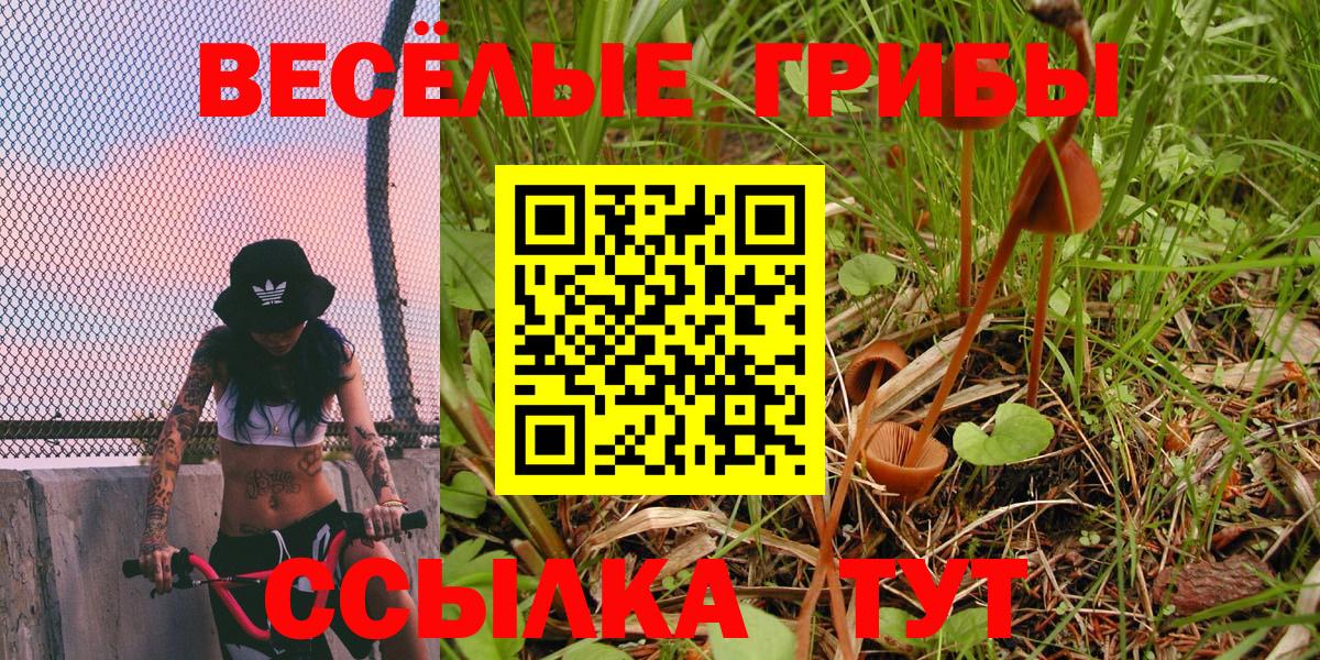 Галлюциногенные грибы Cubensis  Вход с VPN  Железногорск  Галлюциногенные грибы Psilocybe 