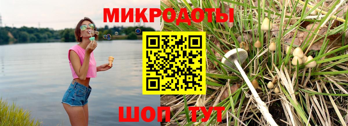 Галлюциногенные грибы прущие грибы Железногорск