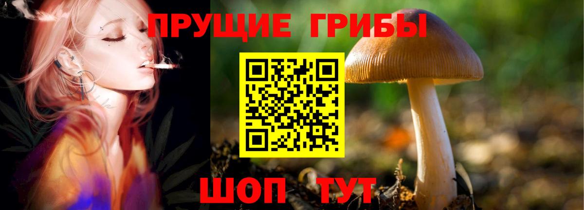 Меф кристаллы  Вход с VPN  Марихуана  А ПВП СОЛЬ   Железногорск  Наркошоп  ГАШИШ  ЭКСТАЗИ 